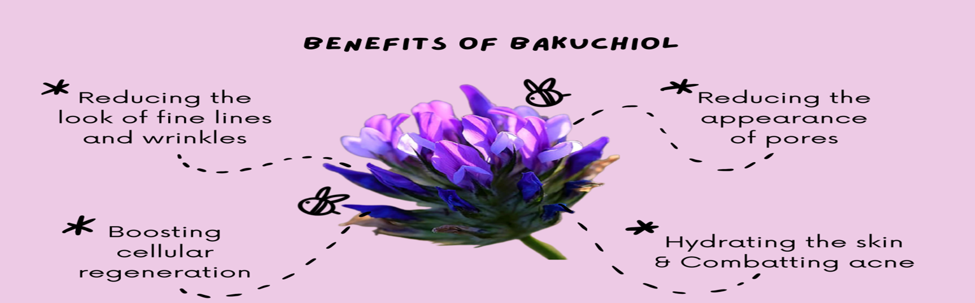 Science of Skincare Bakuchiol